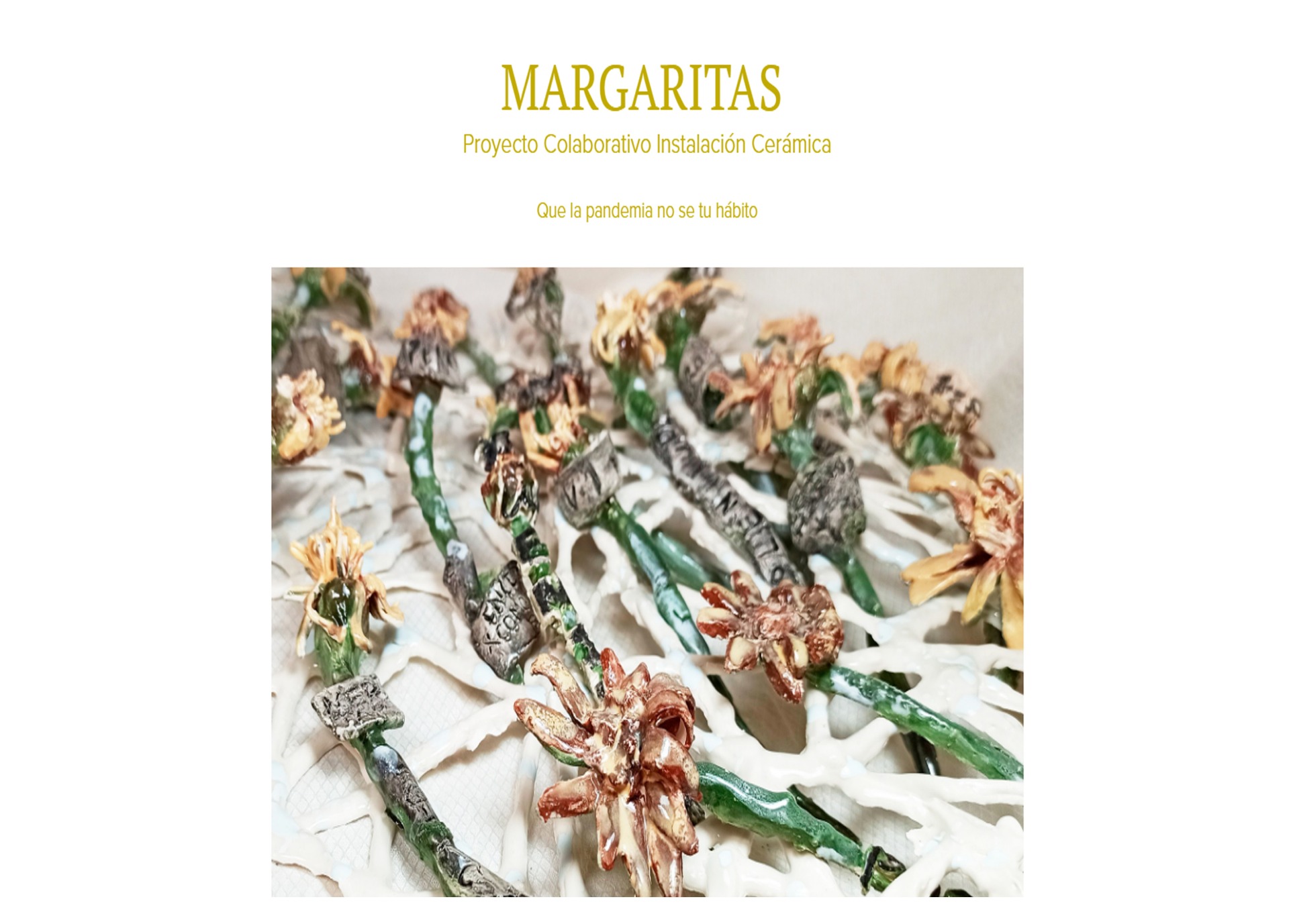 Linck Accede Directo 